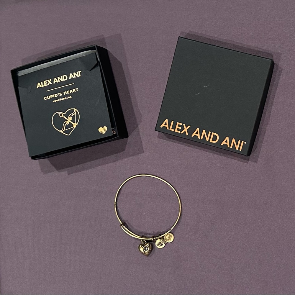 Alex and Ani Symbolic Gold Heart Box